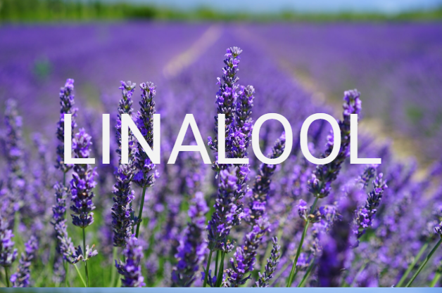 What is Linalool? – Cilo Cybin