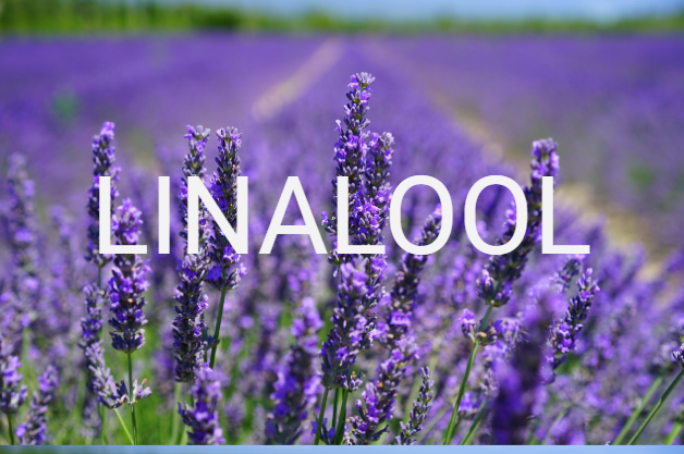 What is Linalool?